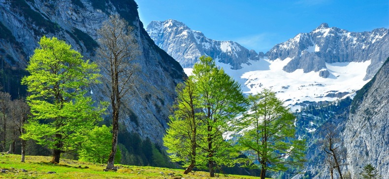Austrijos Alpės