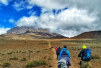 Pasiūlymo galerija 0