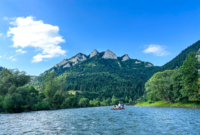 Pasiūlymo galerija 0