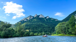Slovakija, plaustai