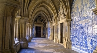 Porto katedra