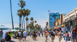 Venice Beach 2