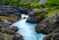 Pasiūlymo galerija 1