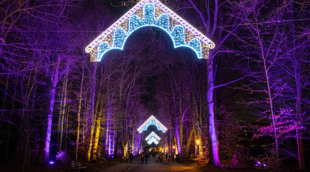 Christmas Garden