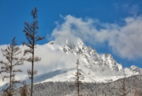 Pasiūlymo galerija 1