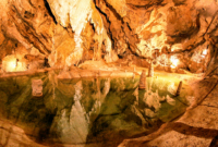 Pasiūlymo galerija 0