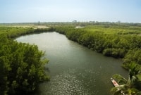 gambija upė