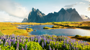 Vestrahorn kalnas