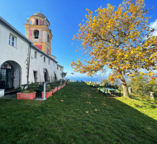 Madonna di Montenero