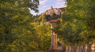 iStock 1163040195