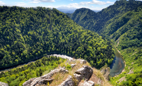 river Dunajec gorge