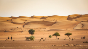 iStock 925443664