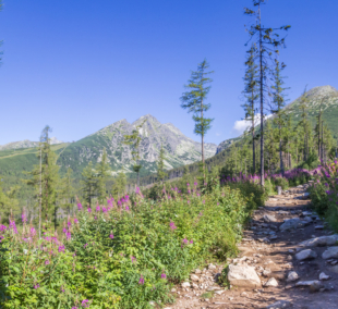 popradske pleso