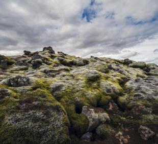 eldhraun lava field