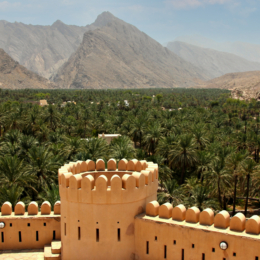 Nizwa Fort, panorama