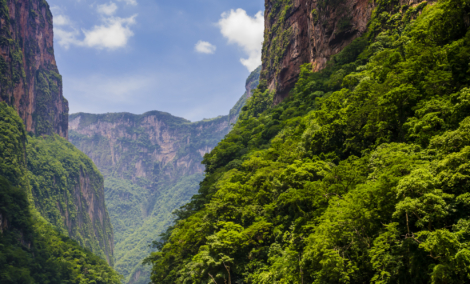 Sumidero kanjonas