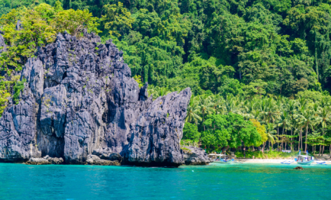 papaya beach
