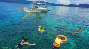 Fantastic Reef (1)