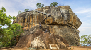 Lion Rock 3