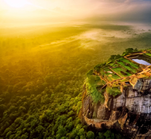 Lion Rock, lion rock