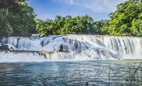 Agua Azul ė