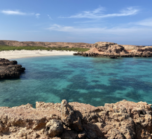 Dimaniyat Island