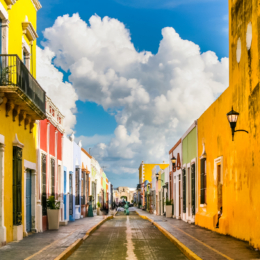 campeche gatve