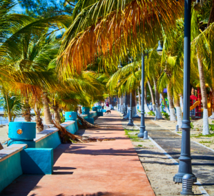 campeche pakrantes takelis