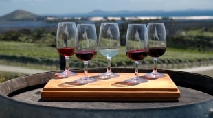 marlborough degustacija 10827