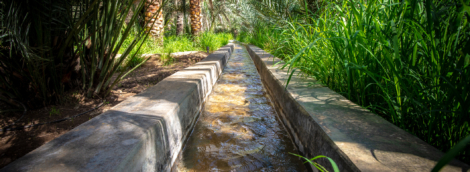 Al Qattara Oasis