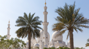 Sheikh Zayed Mosque