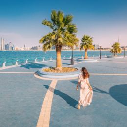 Abu Dabis