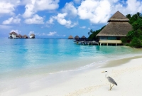 adaaran club rannalhi4 6920