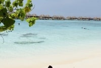 img 7900 13464