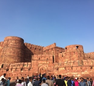 agra fortas 8815