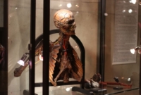 Pasiūlymo galerija 1