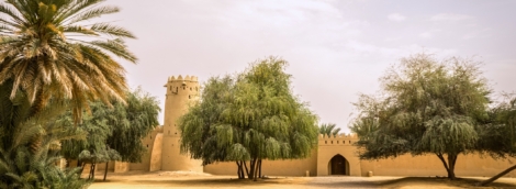 al jahili al ainas