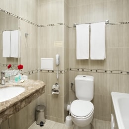 Alba Hotel vonia