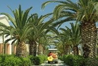 aldemar6