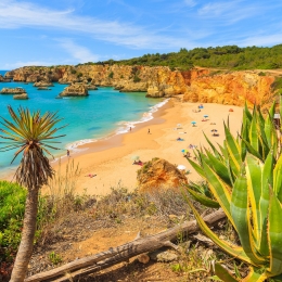 algarve gamta 7101