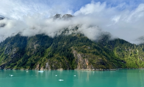 image00006