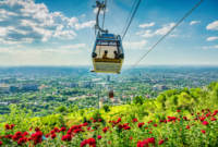 Pasiūlymo galerija 2