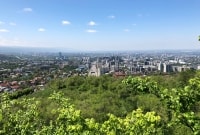 img 7272 14832