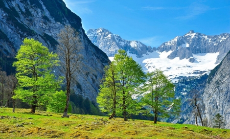 austria 3