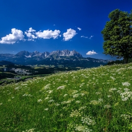 austria 6