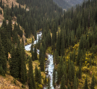 River Arashan