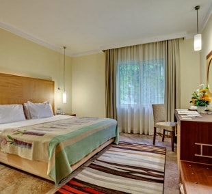 amara club marine nature kambarys
