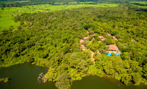 amaya lake aerial