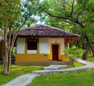 sri lanka amaya lake standart