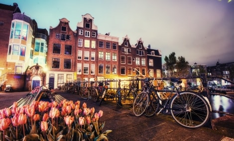 amsterdamas vaizdas 9517